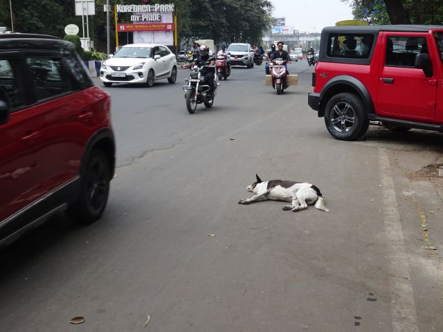 Pune
